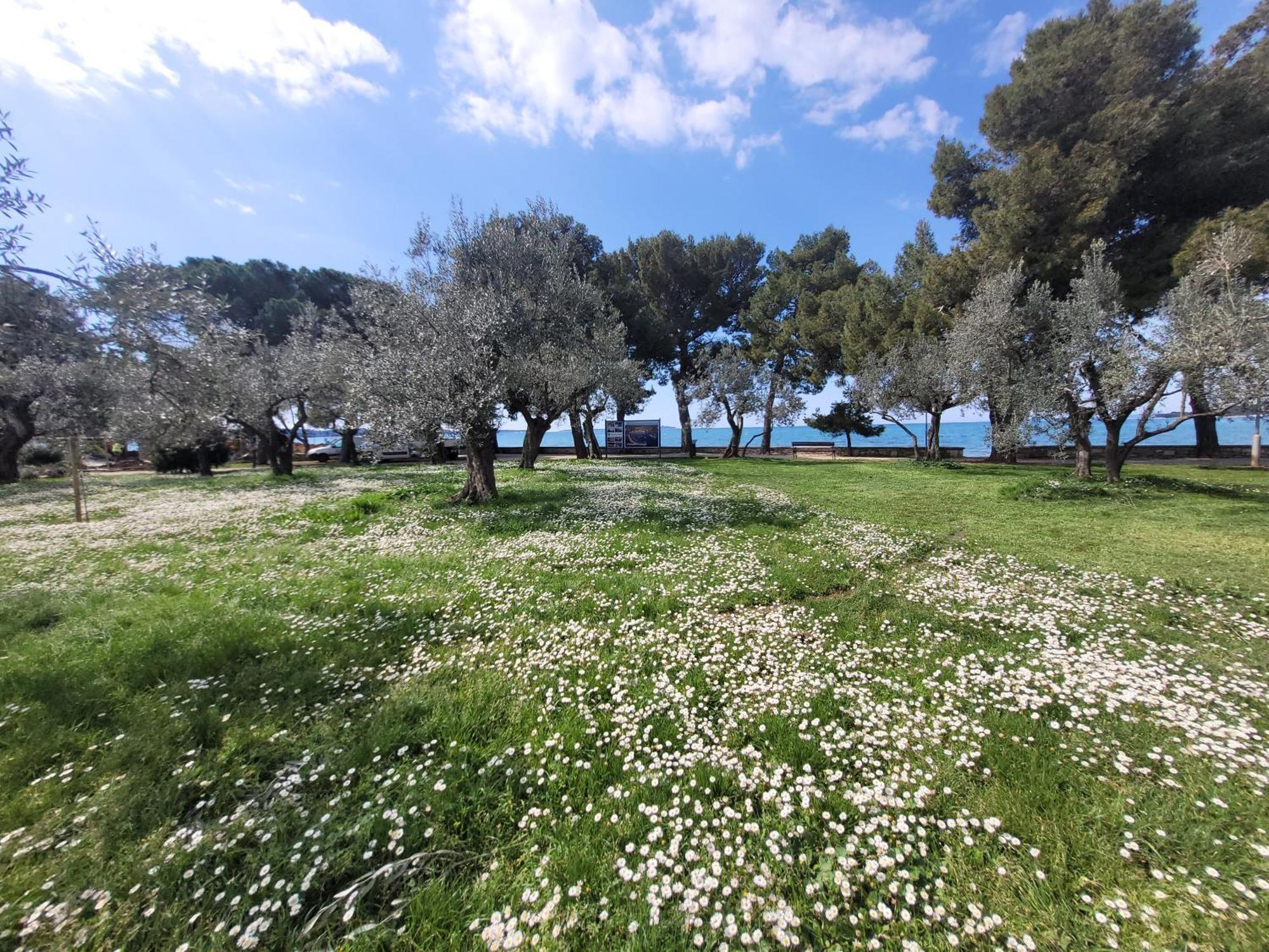 לובראן Ferienwohnung Mit Pool Kroatien Mit Meerblick Und Pool מראה חיצוני תמונה